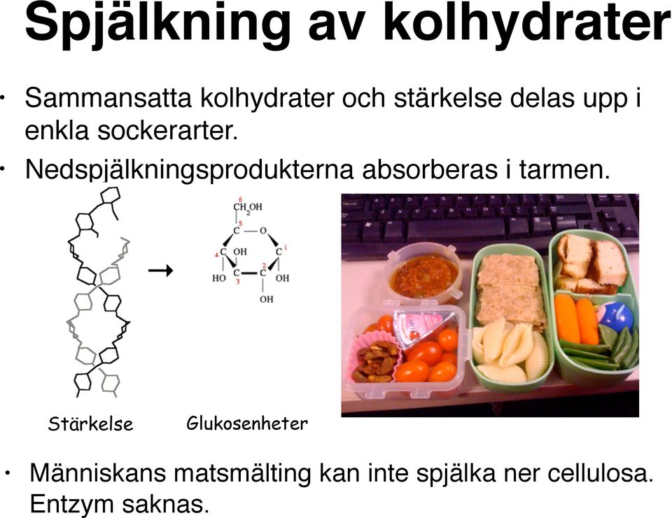 Nedspjälkningsprodukterna absorberas i tarmen.