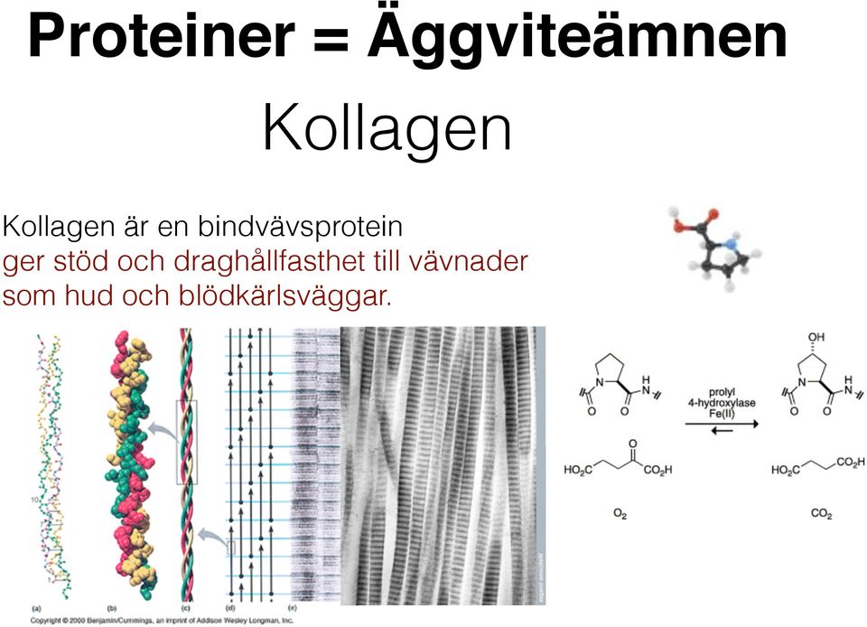 ger stöd och draghållfasthet till