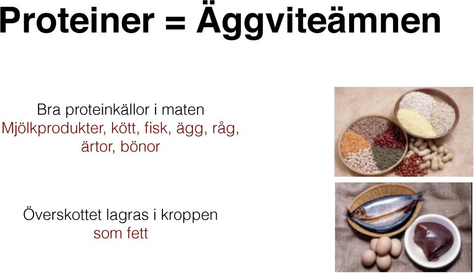 Mjölkprodukter, kött, fisk, ägg,