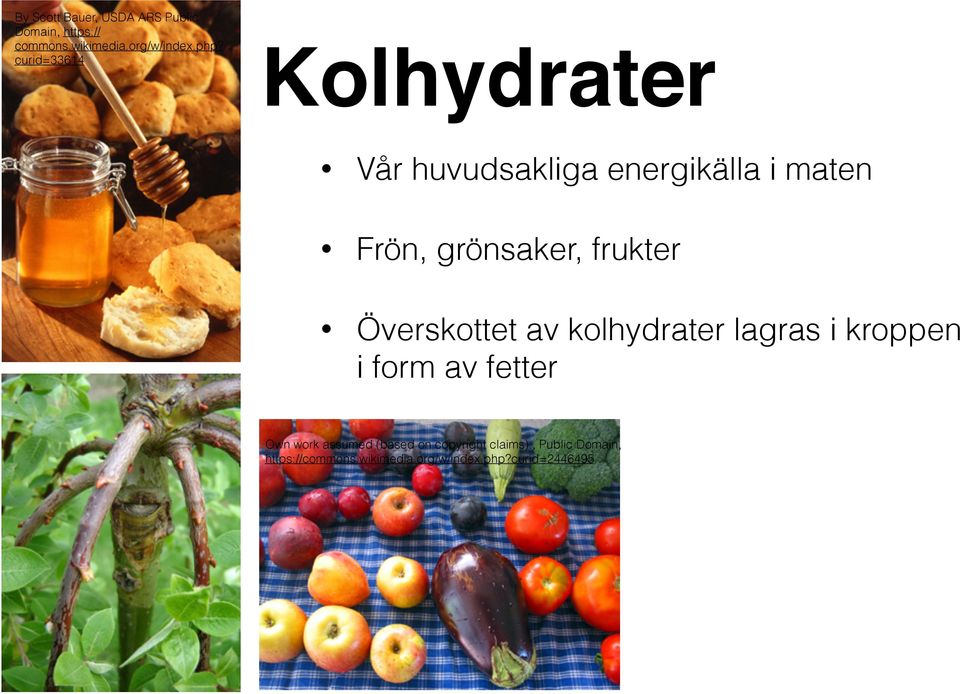 Överskottet av kolhydrater lagras i kroppen i form av fetter Own work assumed (based