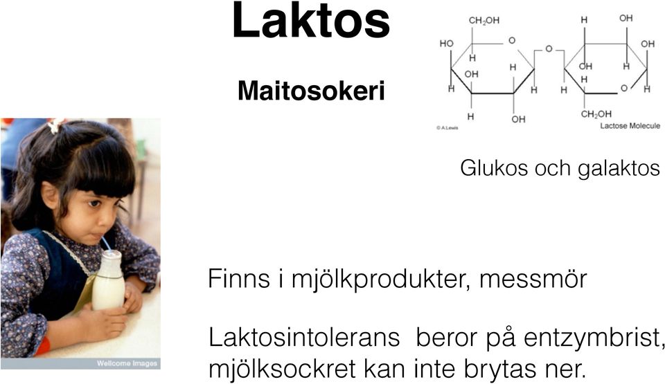 messmör Laktosintolerans beror på