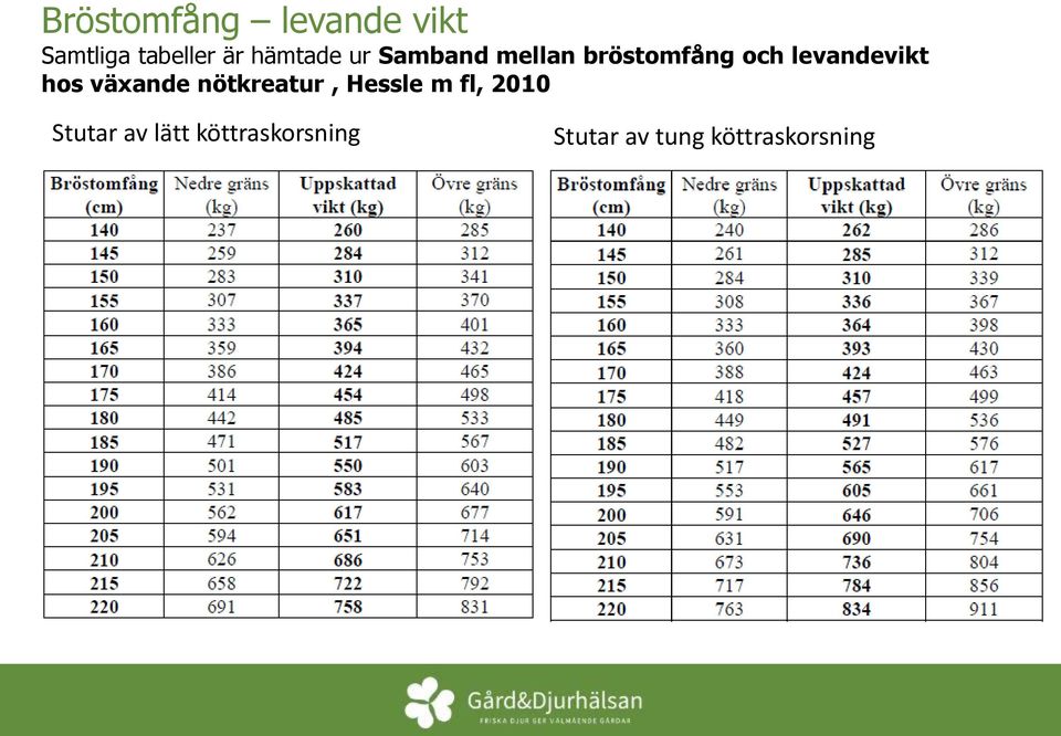 levandevikt hos växande nötkreatur, Hessle m fl,