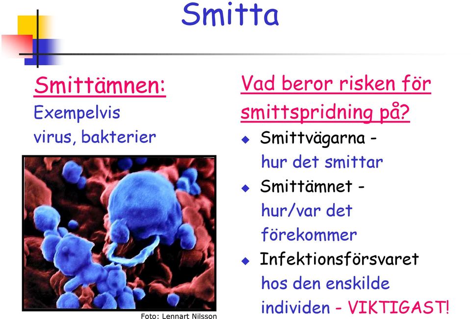 Smittvägarna - hur det smittar Smittämnet - hur/var det