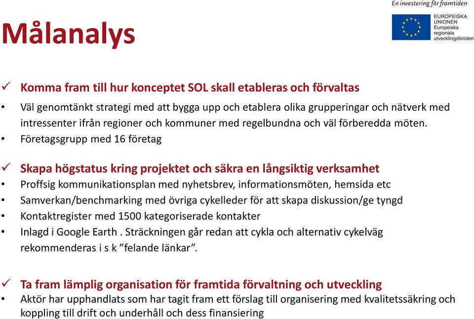 Företagsgrupp med 16 företag Skapa högstatus kring projektet och säkra en långsiktig verksamhet Proffsig kommunikationsplan med nyhetsbrev, informationsmöten, hemsida etc Samverkan/benchmarking med