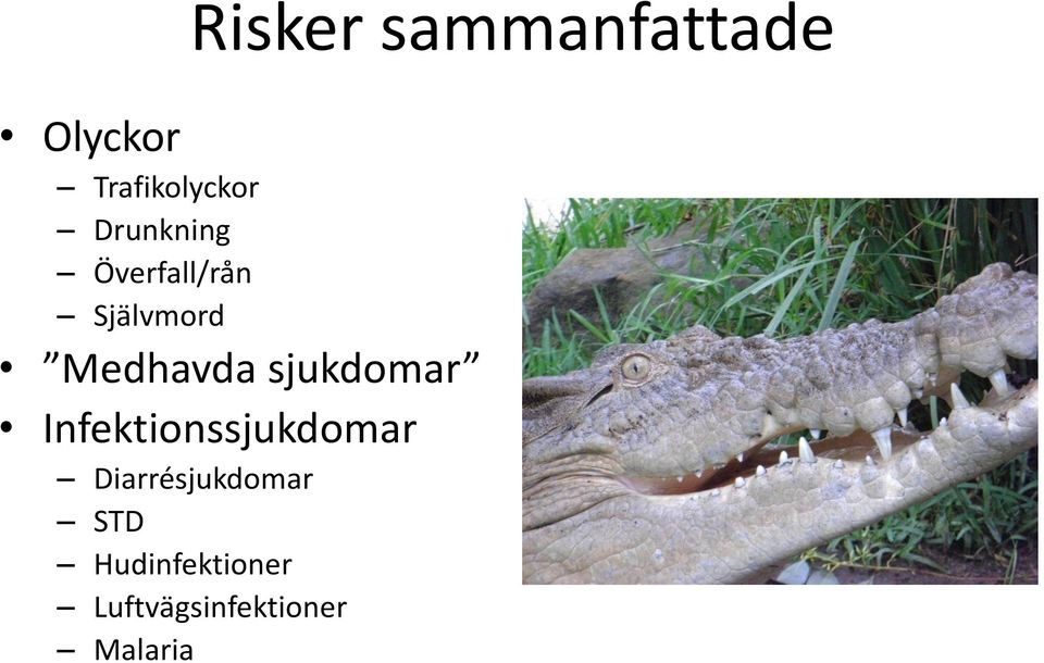 sjukdomar Infektionssjukdomar