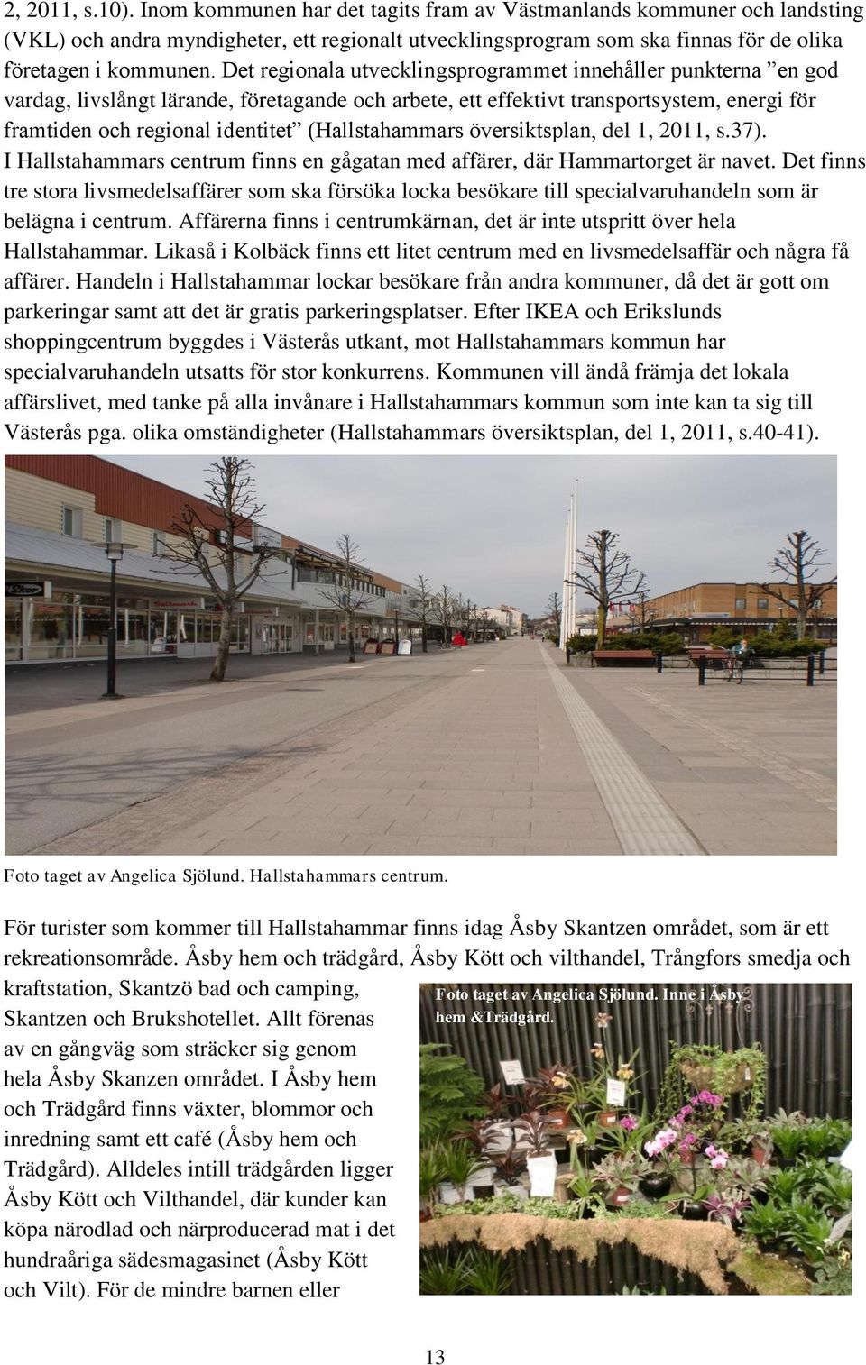 (Hallstahammars översiktsplan, del 1, 2011, s.37). I Hallstahammars centrum finns en gågatan med affärer, där Hammartorget är navet.