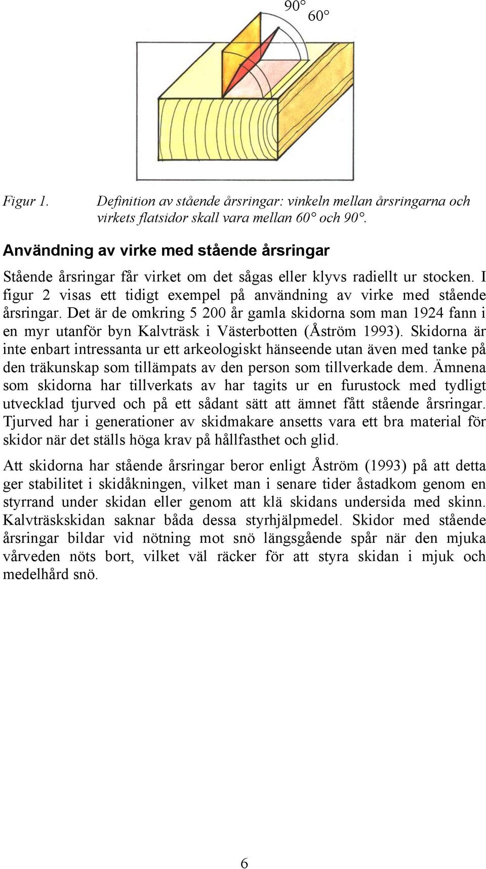 Det är de omkring 5 200 år gamla skidorna som man 1924 fann i en myr utanför byn Kalvträsk i Västerbotten (Åström 1993).