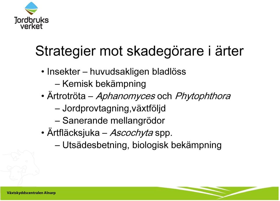 Phytophthora Jordprovtagning,växtföljd Sanerande