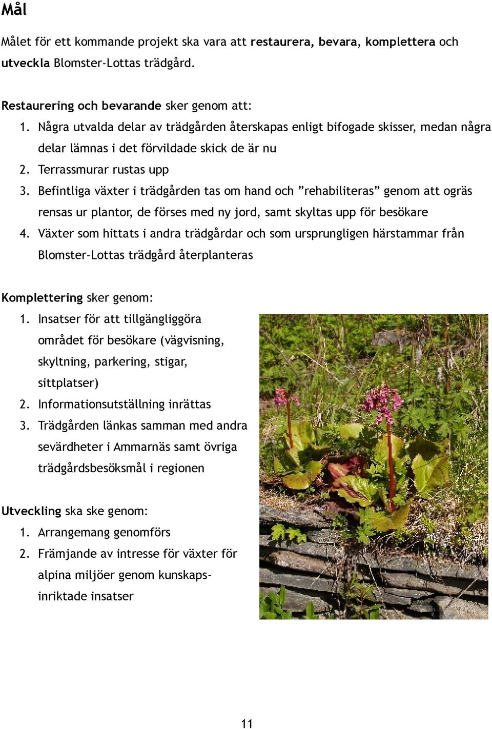 Befintliga växter i trädgården tas om hand och rehabiliteras genom att ogräs rensas ur plantor, de förses med ny jord, samt skyltas upp för besökare 4.