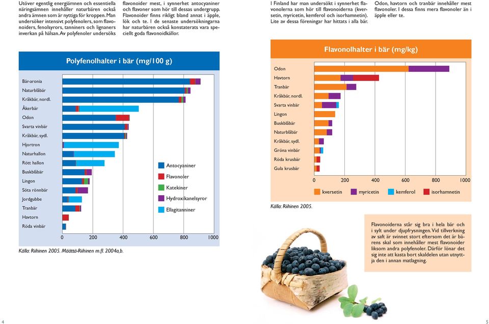 Av polyfenoler undersöks fl avonoider mest, i synnerhet antocyaniner och fl avoner som hör till dessas undergrupp. Flavonoider fi nns rikligt bland annat i äpple, lök och te.