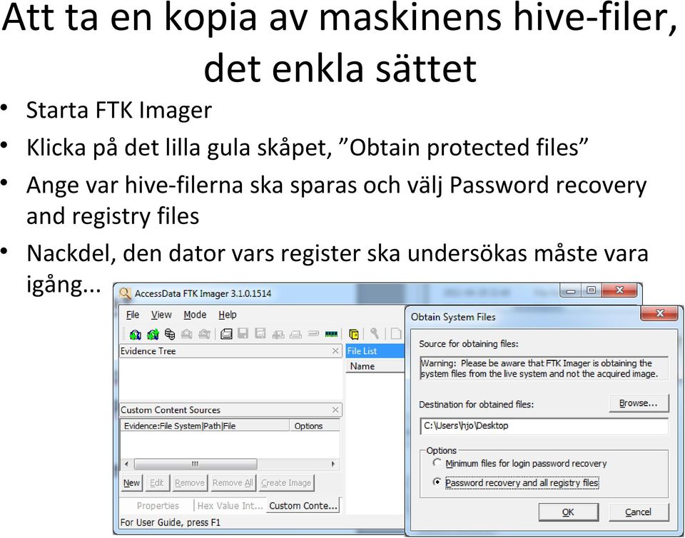 var hive-filerna ska sparas och välj Password recovery and registry