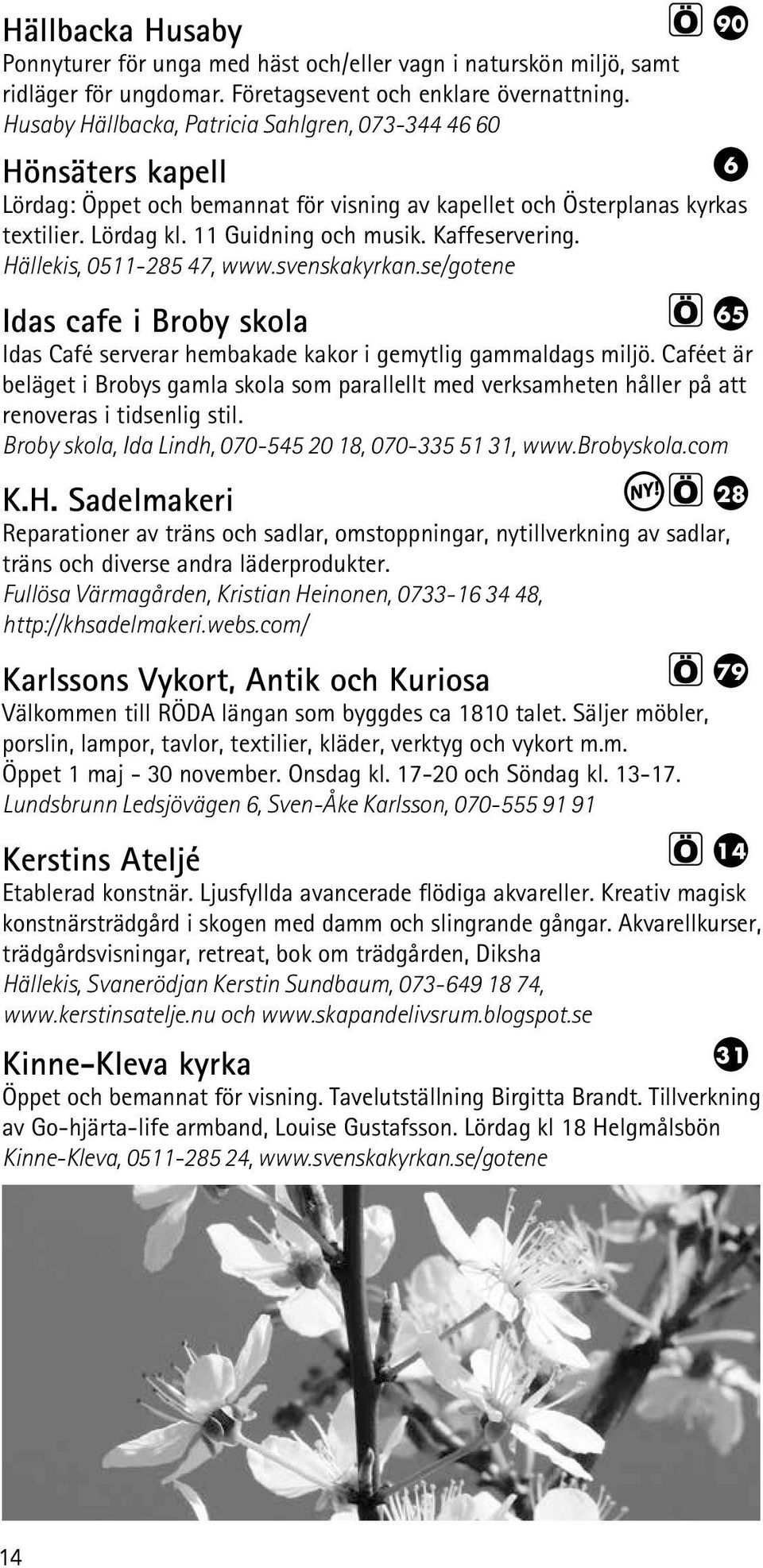 Kaffeservering. Hällekis, 0511-285 47, www.svenskakyrkan.se/gotene Idas cafe i Broby skola 65 Idas Café serverar hembakade kakor i gemytlig gammaldags miljö.