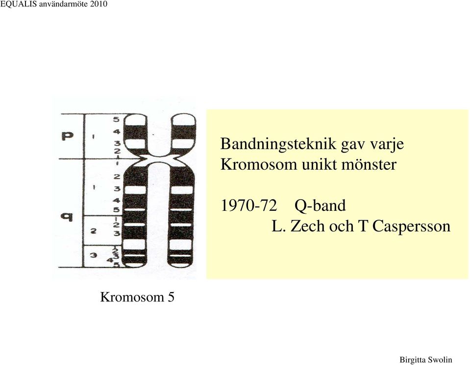 Kromosom unikt mönster 1970-72