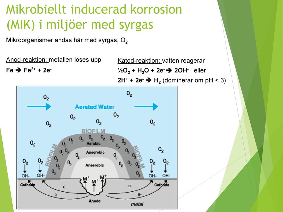 metallen löses upp Fe Fe 2+ + 2e - Katod-reaktion: vatten