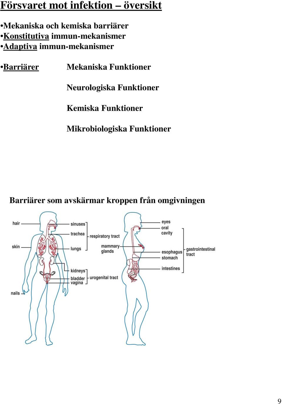 Mekaniska Funktioner Neurologiska Funktioner Kemiska Funktioner