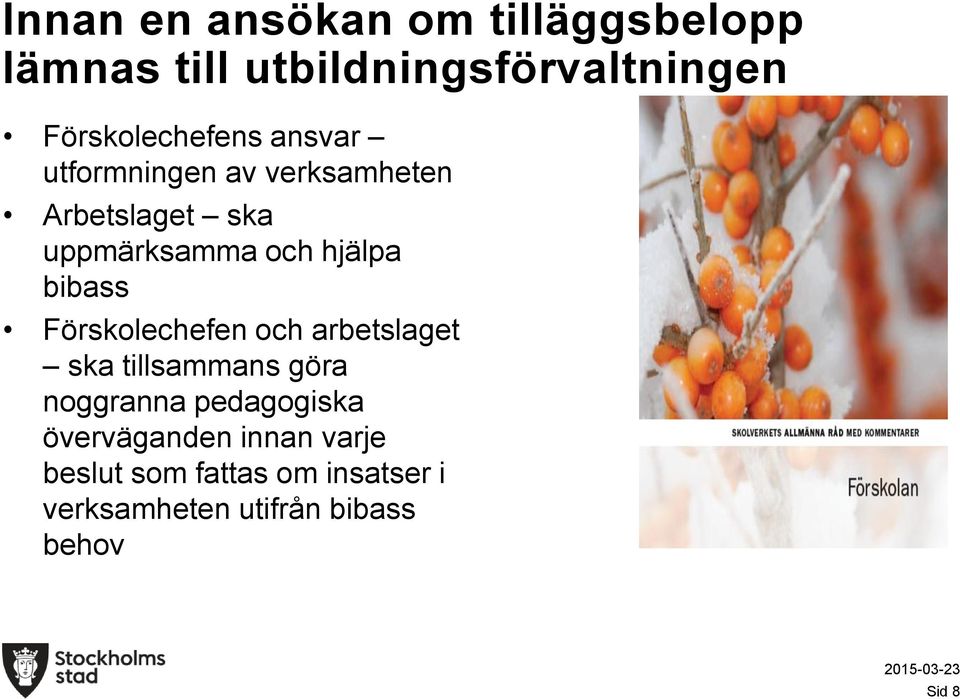 hjälpa bibass Förskolechefen och arbetslaget ska tillsammans göra noggranna