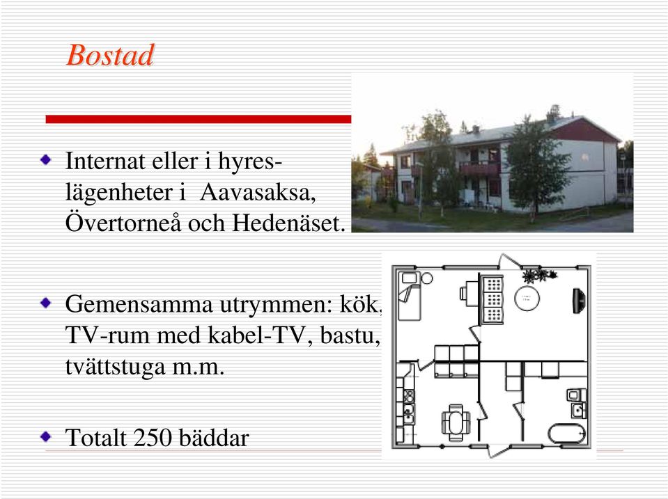 Gemensamma utrymmen: kök, TV-rum med