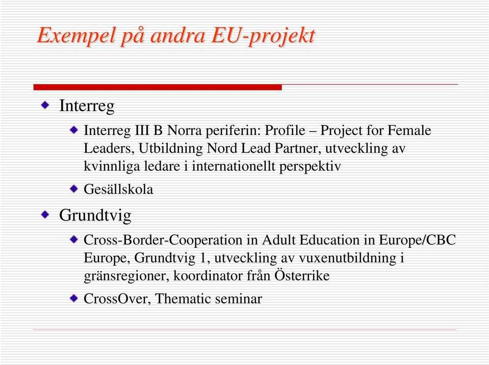 Gesällskola Grundtvig Cross-Border-Cooperation in Adult Education in Europe/CBC Europe, Grundtvig