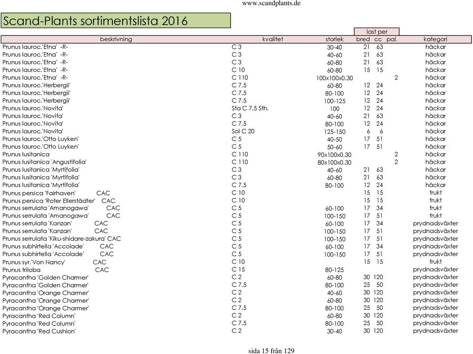 'herbergii' C 7,5 80-100 12 24 häckar Prunus lauroc.'herbergii' C 7,5 100-125 12 24 häckar Prunus lauroc.'novita' Sta C 7,5 Sth. 100 12 24 häckar Prunus lauroc.