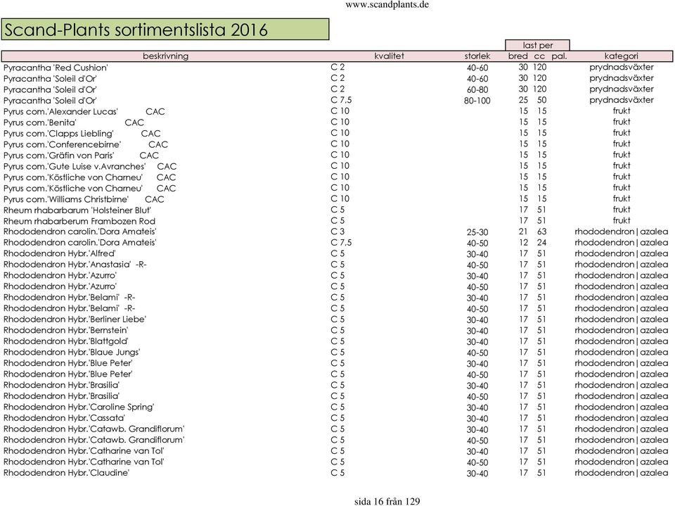 'conferencebirne' CAC C 10 15 15 frukt Pyrus com.'gräfin von Paris' CAC C 10 15 15 frukt Pyrus com.'gute Luise v.avranches' CAC C 10 15 15 frukt Pyrus com.