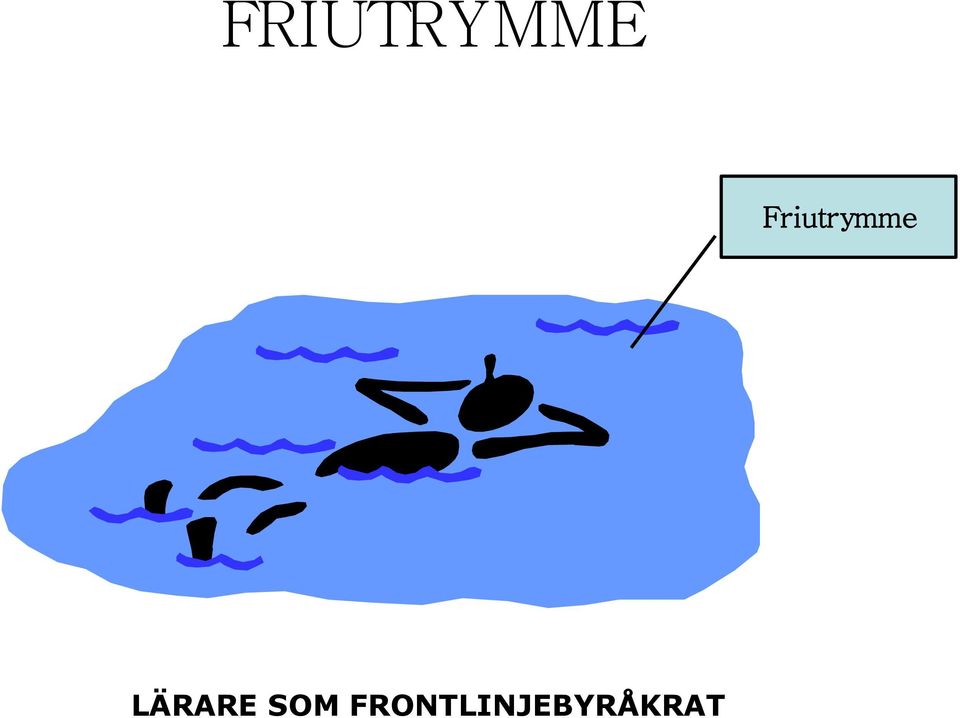 LÄRARE SOM