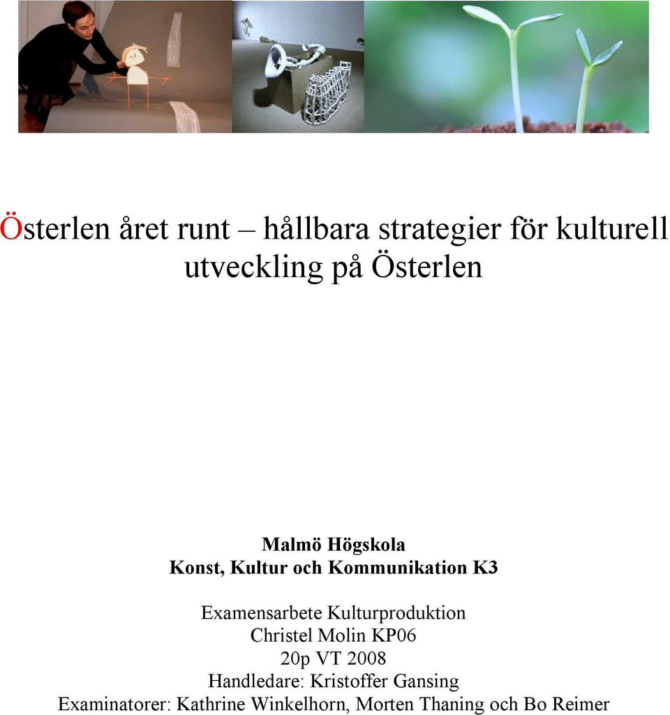 Examensarbete Kulturproduktion Christel Molin KP06 20p VT 2008