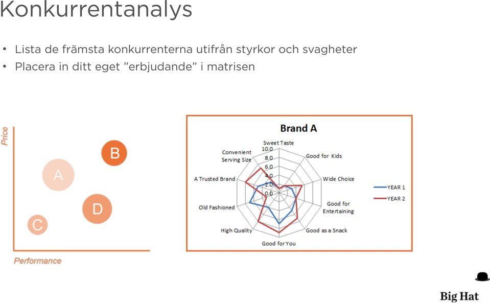 styrkor och svagheter Placera