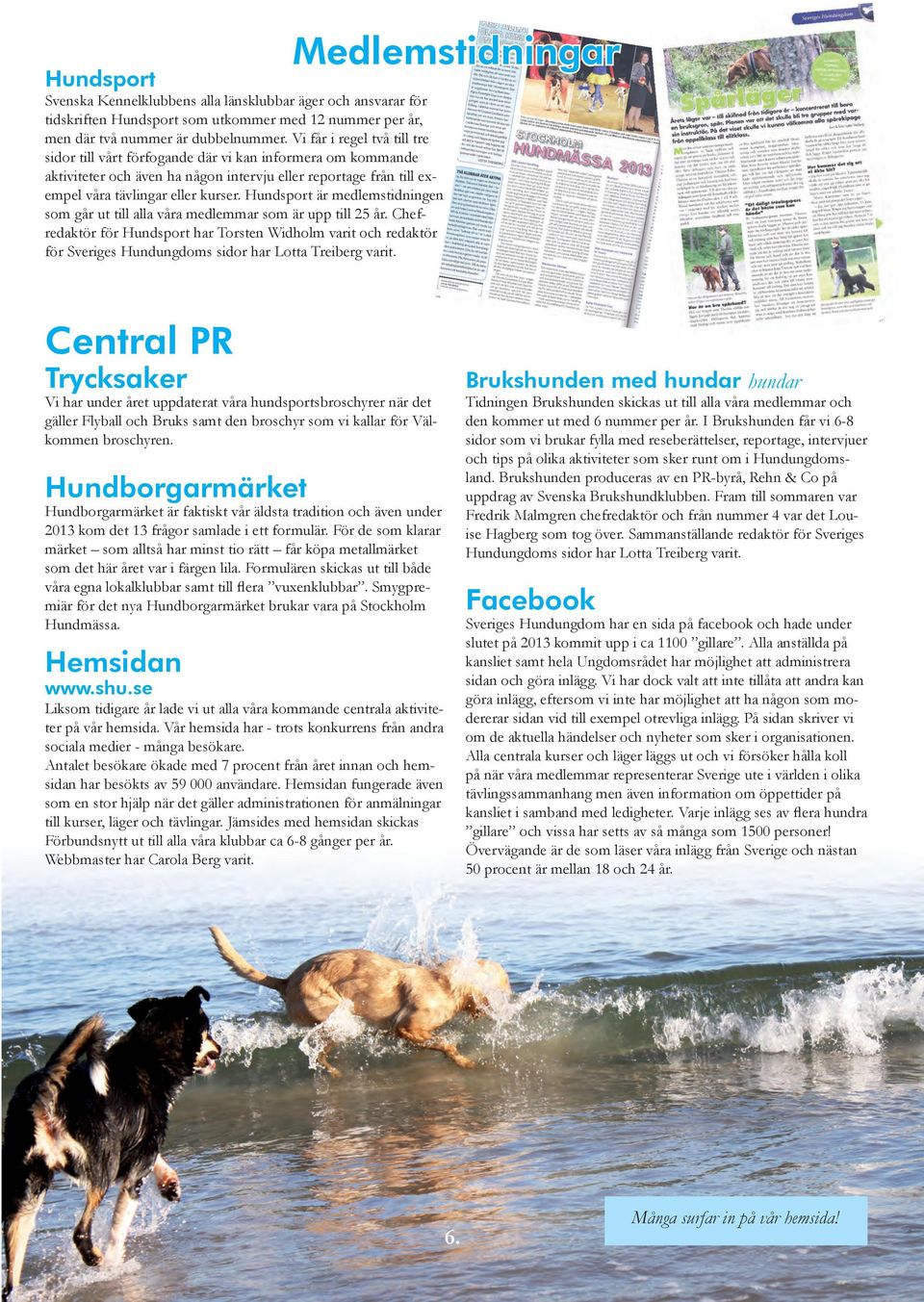 Hundsport är medlemstidningen som går ut till alla våra medlemmar som är upp till 25 år.