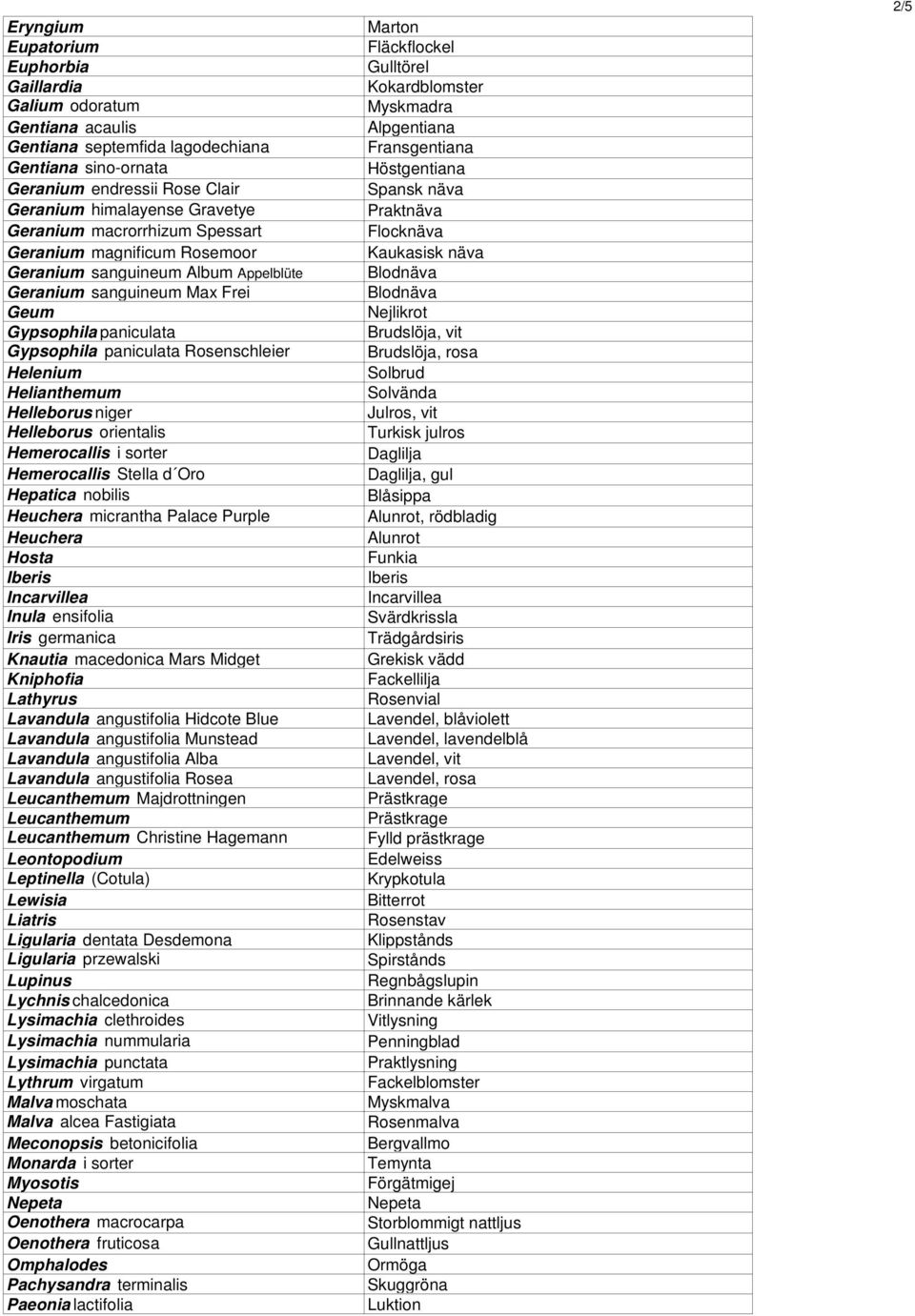 Helianthemum Helleborus niger Helleborus orientalis Hemerocallis i sorter Hemerocallis Stella d Oro Hepatica nobilis Heuchera micrantha Palace Purple Heuchera Hosta Iberis Incarvillea Inula ensifolia