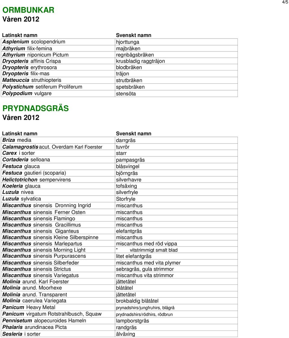 acut. Overdam Karl Foerster tuvrör Carex i sorter starr Cortaderia selloana pampasgräs Festuca glauca blåsvingel Festuca gautieri (scoparia) björngräs Helictotrichon sempervirens silverhavre Koeleria