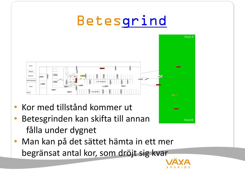 Betesgrinden kan skifta till annan fålla under dygnet Man kan på det