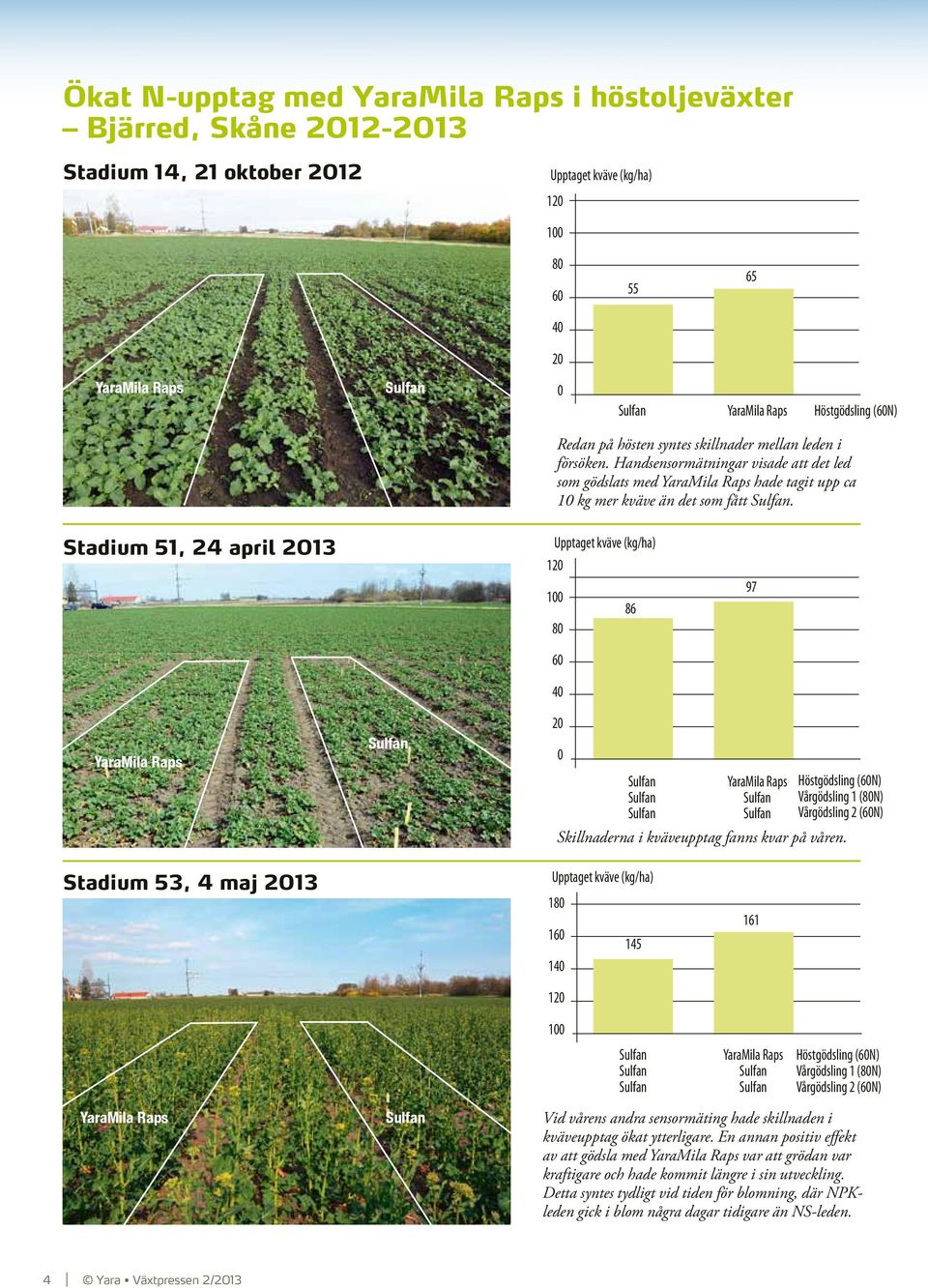 Stadium 51, 24 april 2013 Upptaget kväve (kg/ha) 120 100 86 80 60 40 97 YaraMila Raps 20 0 YaraMila Raps Höstgödsling (60N) Vårgödsling 1 (80N) Vårgödsling 2 (60N) Skillnaderna i kväveupptag fanns