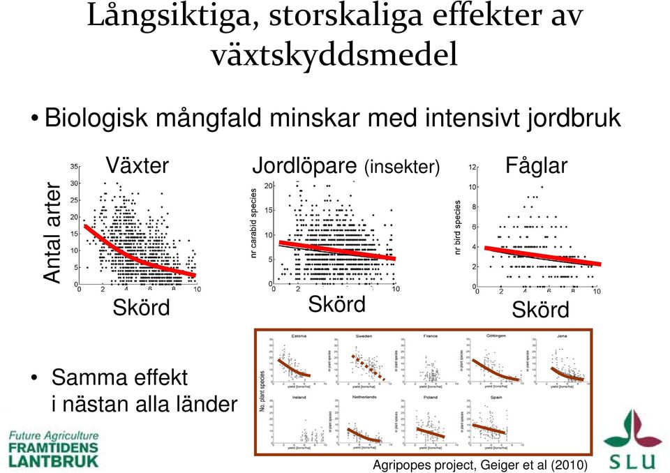 Jordlöpare (insekter) Fåglar arter Antal a Skörd Skörd Skörd