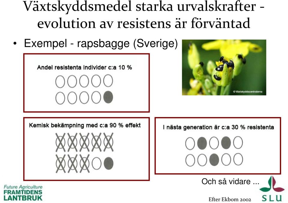 resistens är förväntad Exempel -