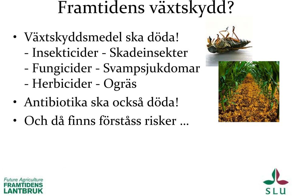 Insekticider Skadeinsekter Fungicider