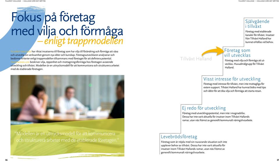 Företagsutvecklaren analyserar och bedömer kriterier enligt trappmodellen tillsammans med företaget för att definiera potential.