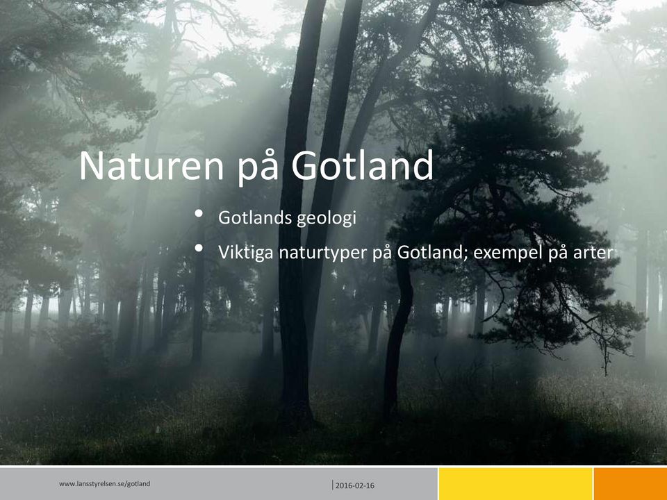 Viktiga naturtyper