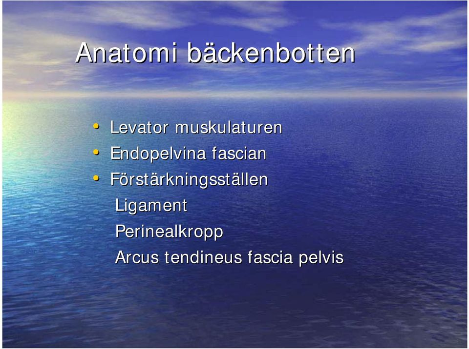 Förstärkningsställen Ligament