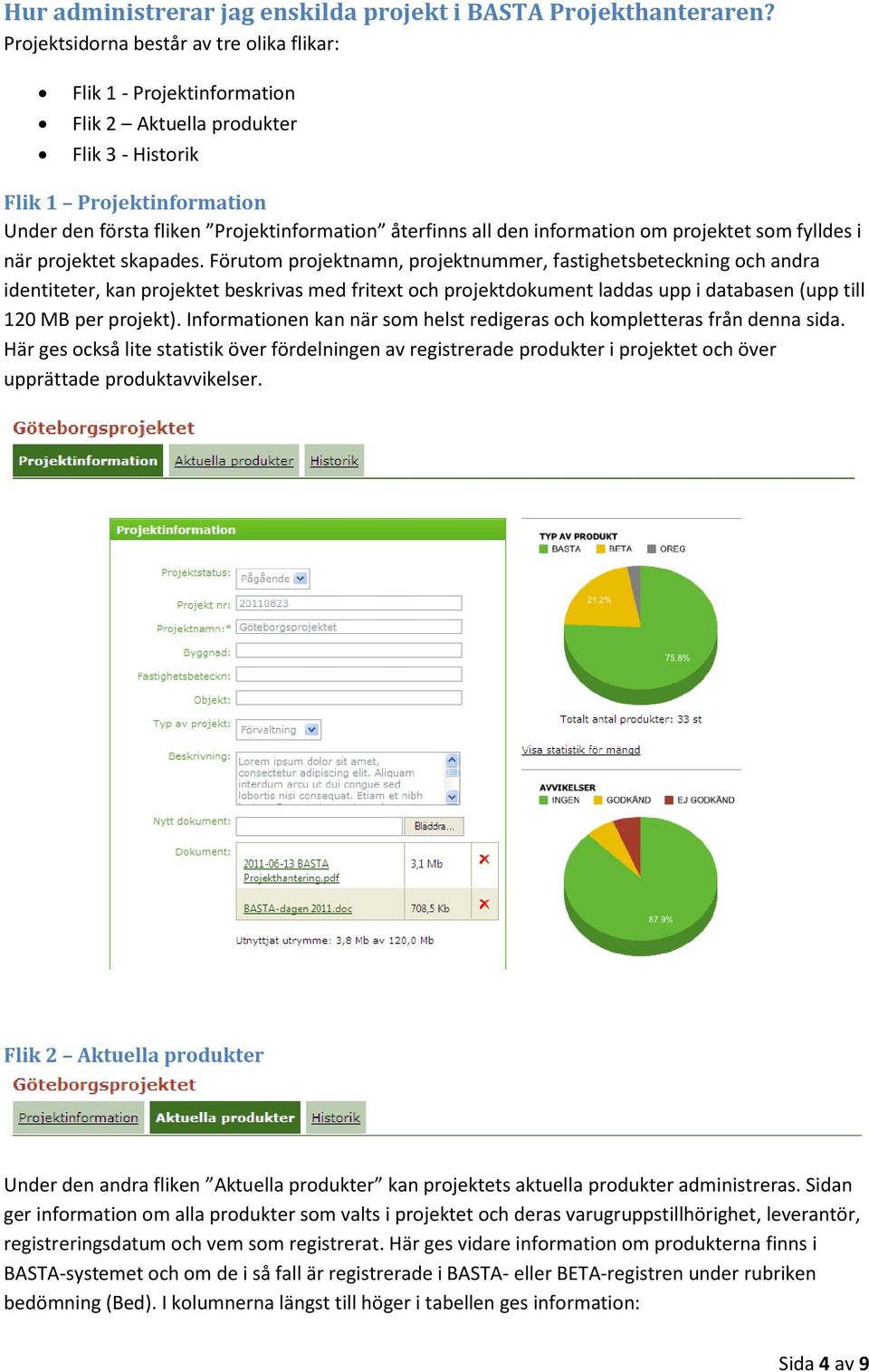 den information om projektet som fylldes i när projektet skapades.