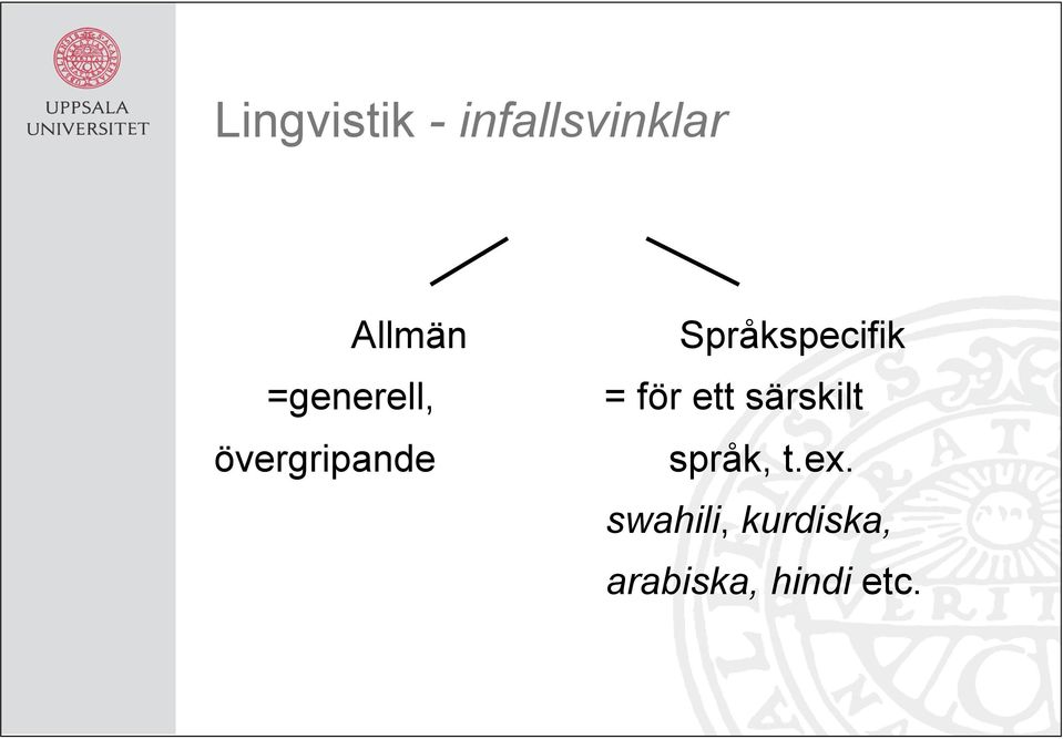 Språkspecifik = för ett särskilt