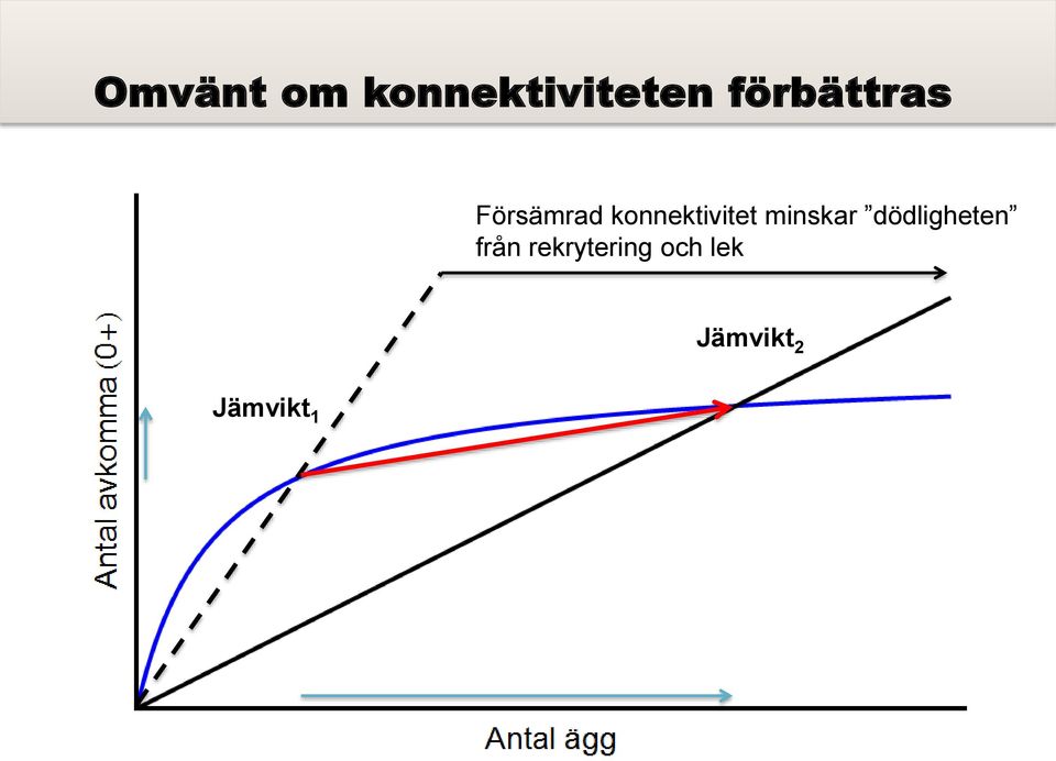 konnektivitet minskar