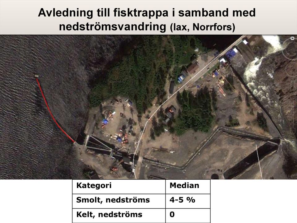 (lax, Norrfors) Kategori Median