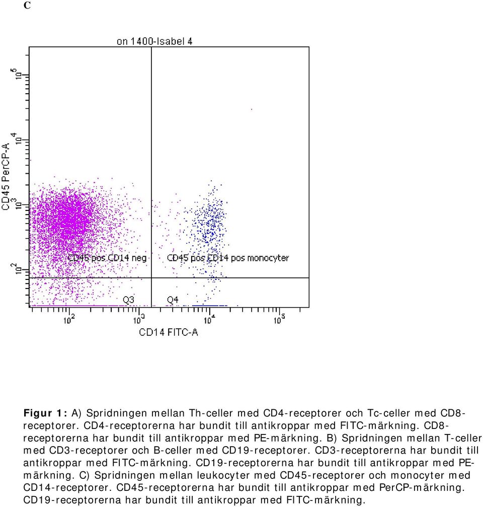 CD3-receptorerna har bundit till antikroppar med FITC-märkning. CD19-receptorerna har bundit till antikroppar med PEmärkning.