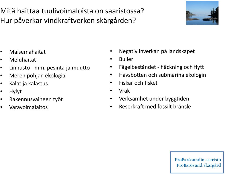 pesintä ja muutto Meren pohjan ekologia Kalat ja kalastus Hylyt Rakennusvaiheen työt Varavoimalaitos