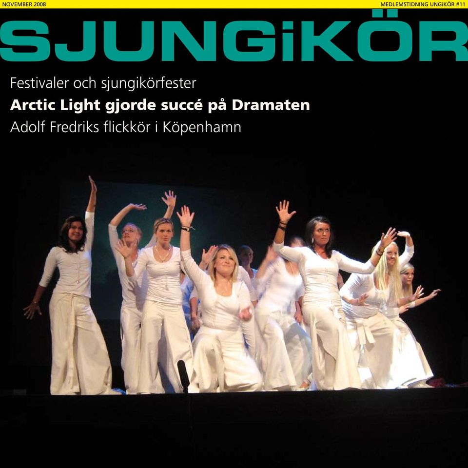 sjungikörfester Arctic Light gjorde