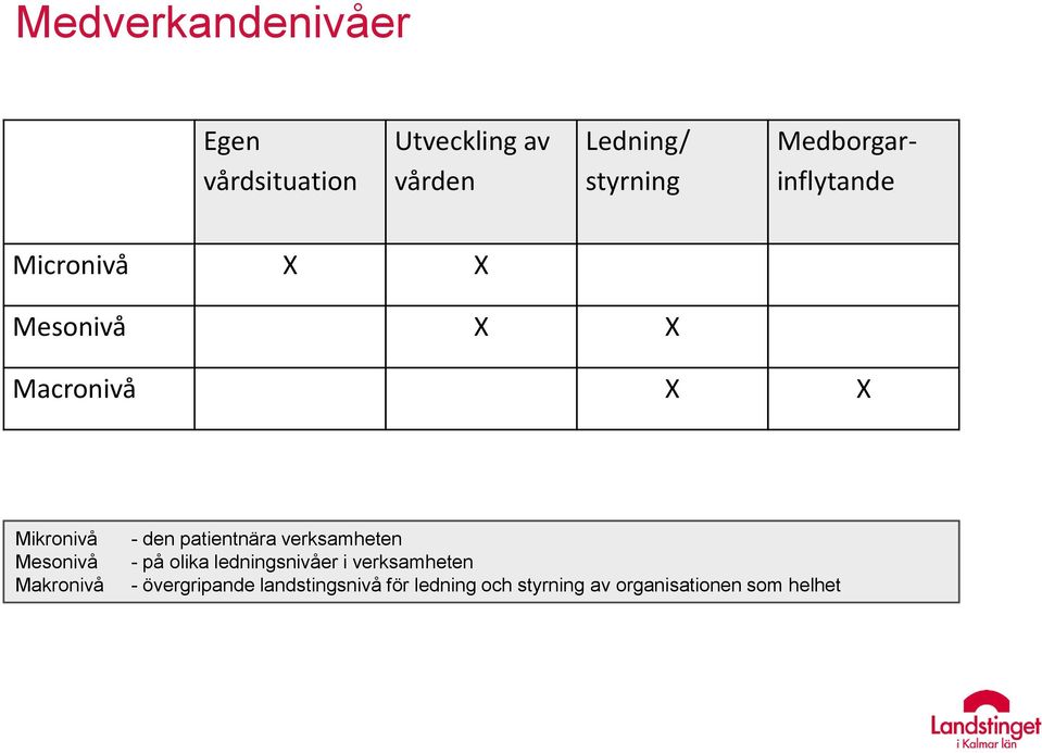 Makronivå - den patientnära verksamheten - på olika ledningsnivåer i