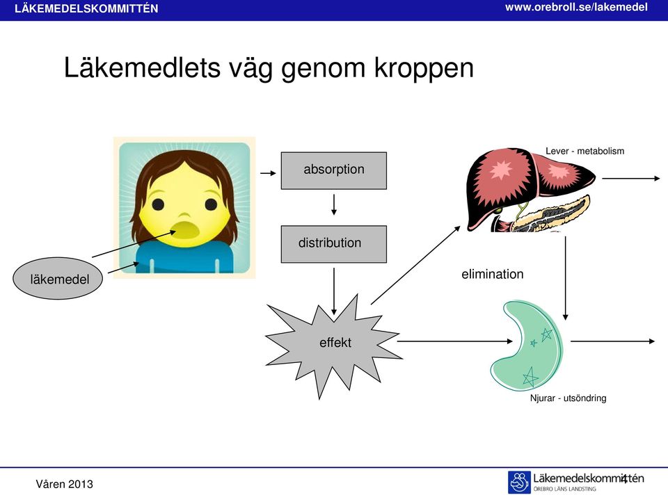 distribution läkemedel