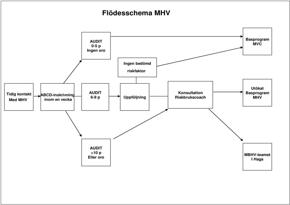 en vecka AUDIT 6-9 p Uppföljning Konsultation Riskbrukscoach