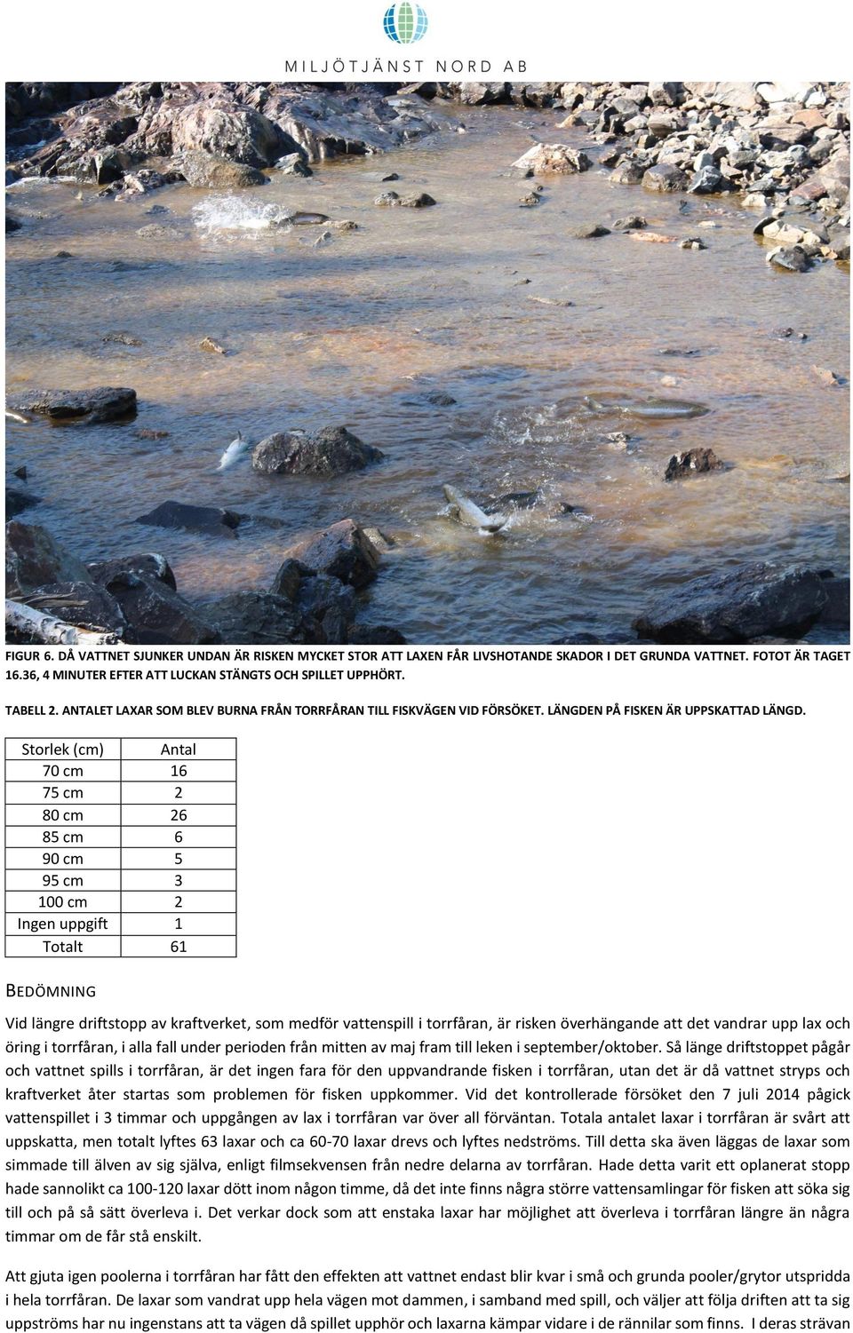 Storlek (cm) Antal 70 cm 16 75 cm 2 80 cm 26 85 cm 6 90 cm 5 95 cm 3 100 cm 2 Ingen uppgift 1 Totalt 61 BEDÖMNING Vid längre driftstopp av kraftverket, som medför vattenspill i torrfåran, är risken