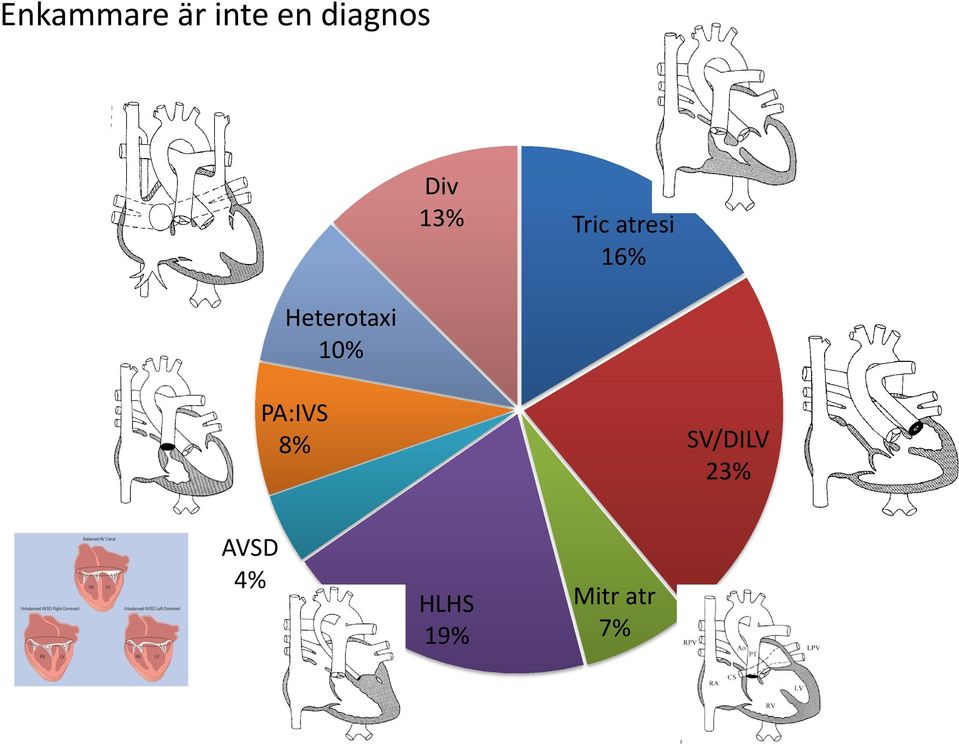 Heterotaxi 10% PA:IVS 8%